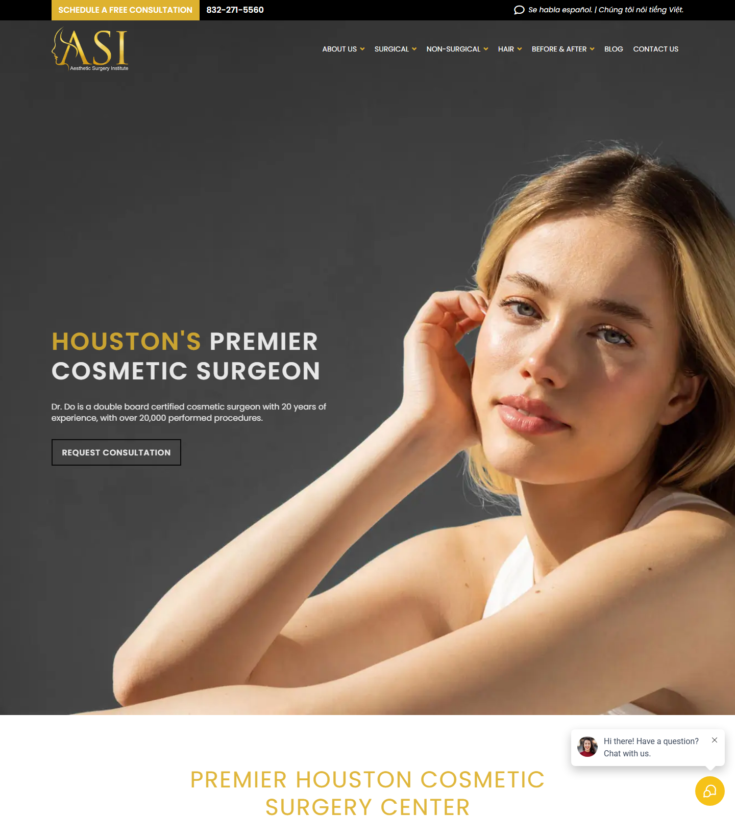 Aesthetic Surgery Institute — Aesthetic Surgery Institute website homepage (Houston, TX plastic & cosmetic surgery)