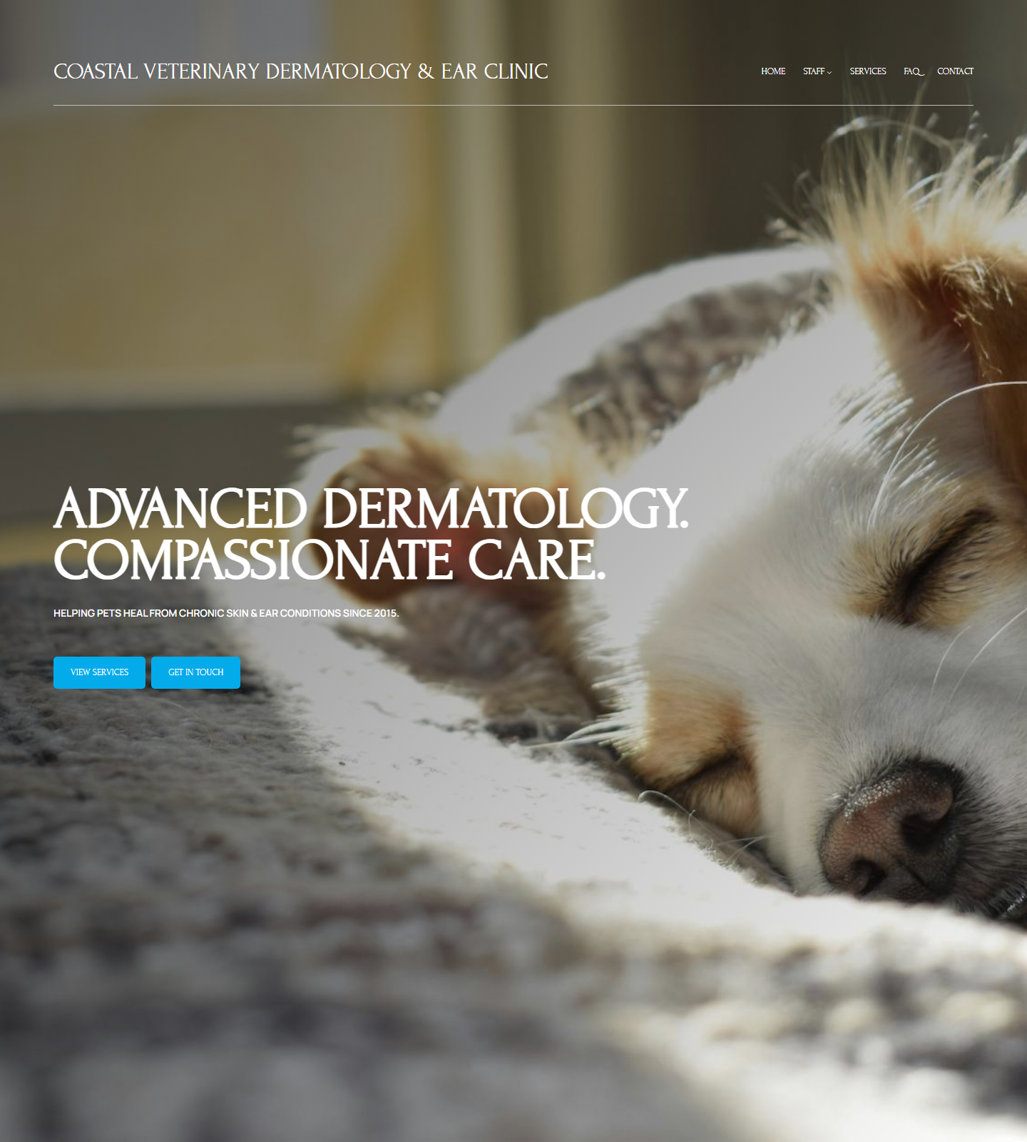 Coastal Veterinary Dermatology & Ear Clinic — Coastal Veterinary Dermatology & Ear Clinic website homepage (Houston, TX plastic & cosmetic surgery)