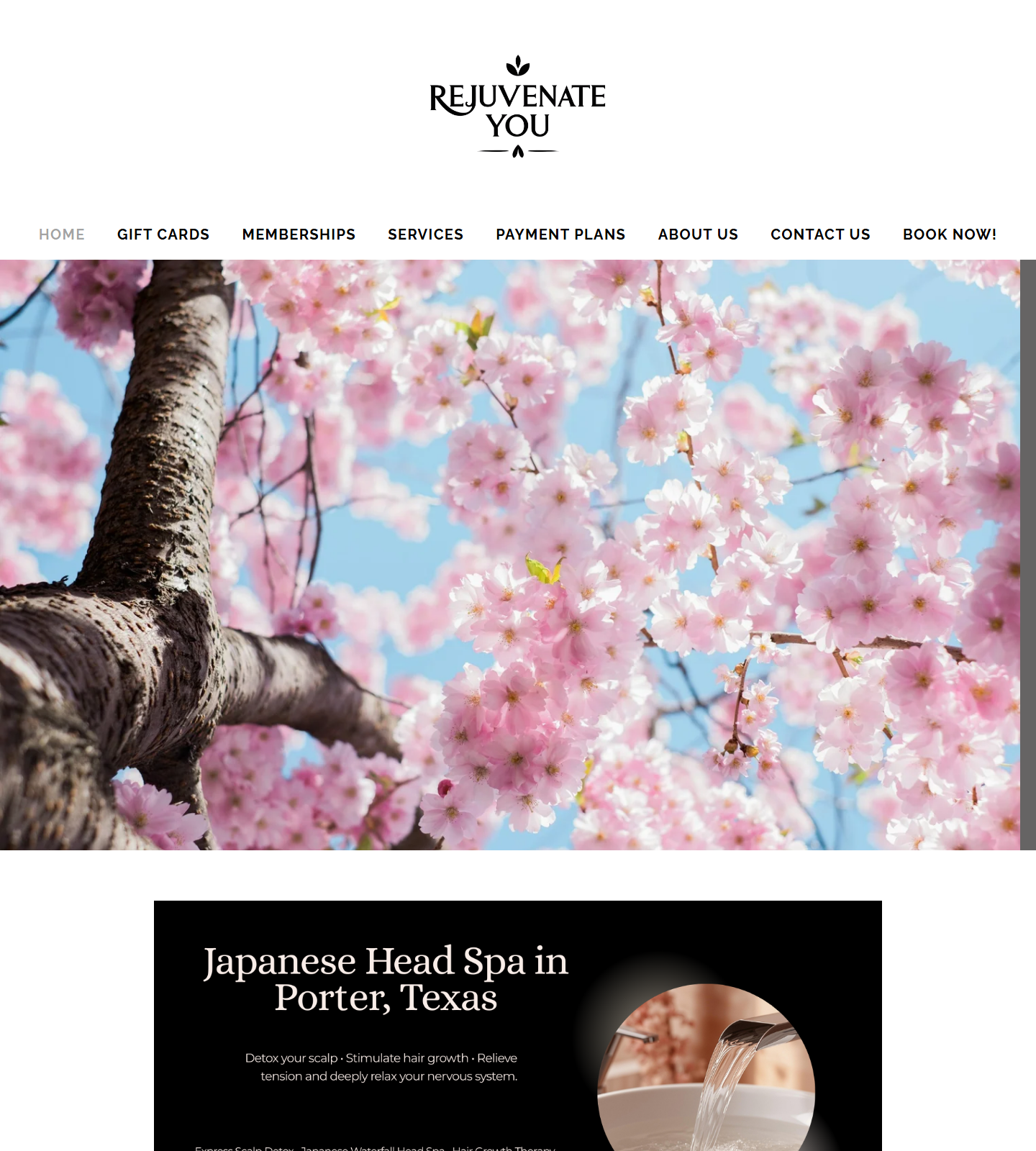 Elevated Aesthetics — Elevated Aesthetics website homepage (Kingwood, TX plastic & cosmetic surgery)