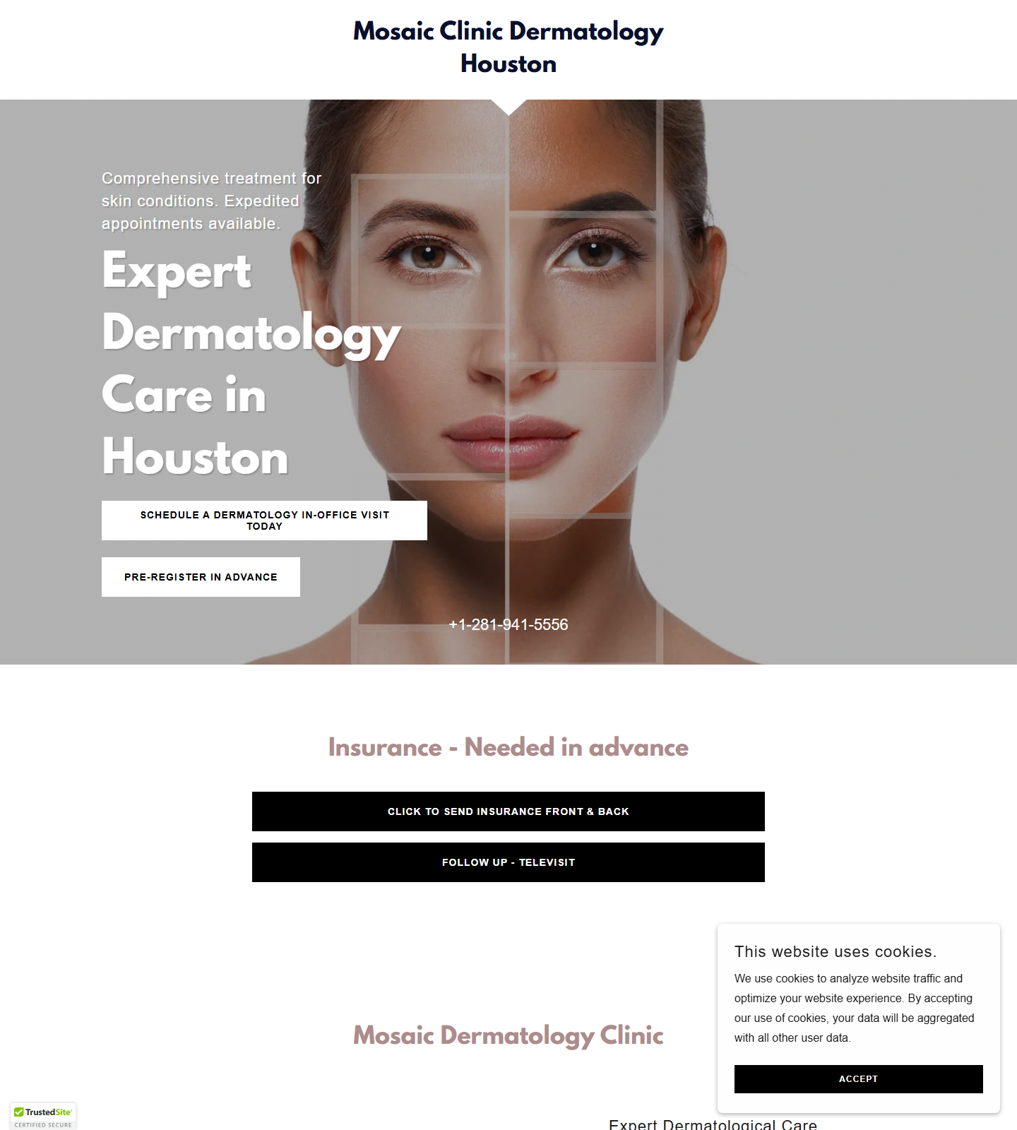 Mosaic Dermatology Houston - Dr. Rashid M. Rashid — Mosaic Dermatology Houston - Dr. Rashid M. Rashid website homepage (Houston, TX plastic & cosmetic surgery)